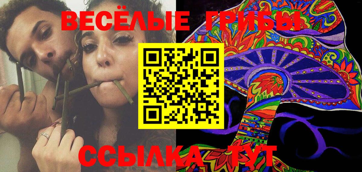 Галлюциногенные грибы Magic Shrooms Кудымкар