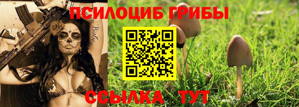 Галлюциногенные грибы GOLDEN TEACHER  Вход с VPN  Псилоцибиновые грибы Magic Shrooms  Кудымкар 